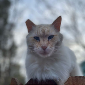 Meet your Posher, Jason